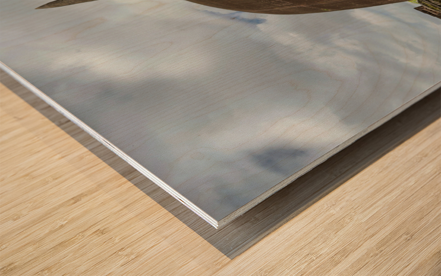 The Sacred City of Polonnaruwa 7 Wood print