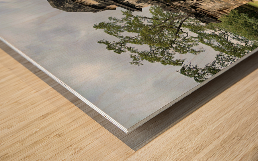 The Sacred City of Polonnaruwa 6 Wood print