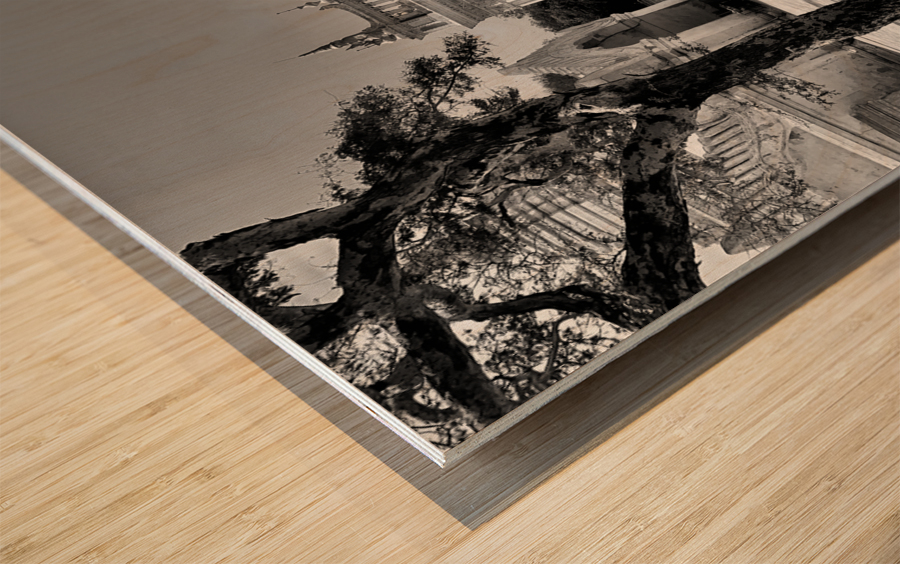 BW Ananda Pagoda Myanmar Wood print