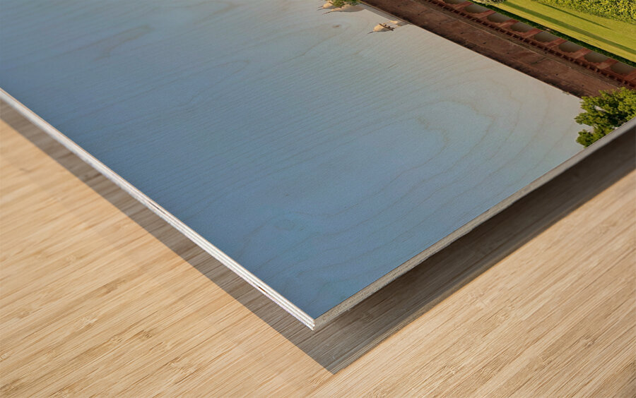 Agra Fort 4 Wood print