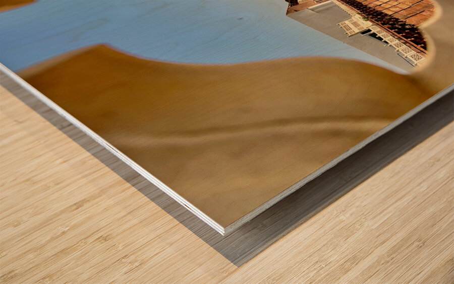 Agra Fort 10 Wood print