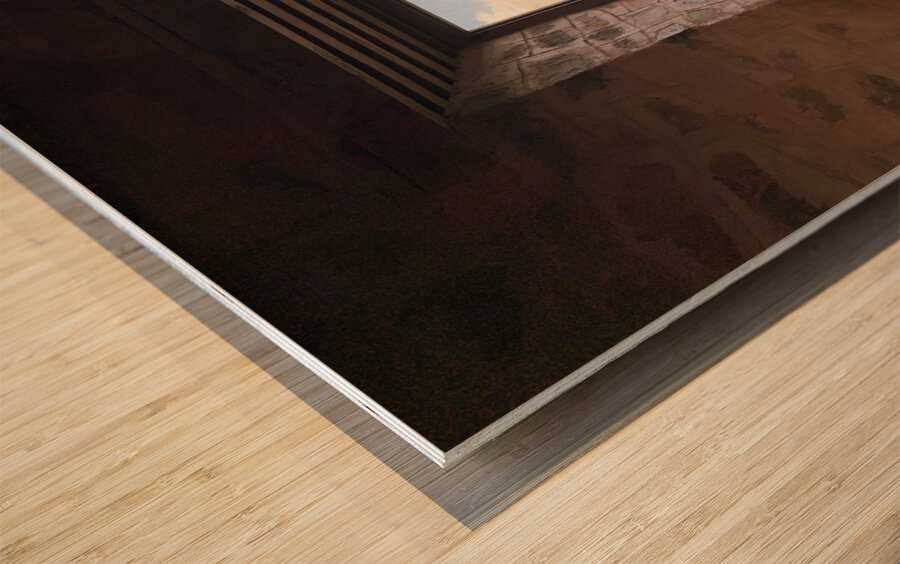 Hari Parbat Srinagar 3 Wood print