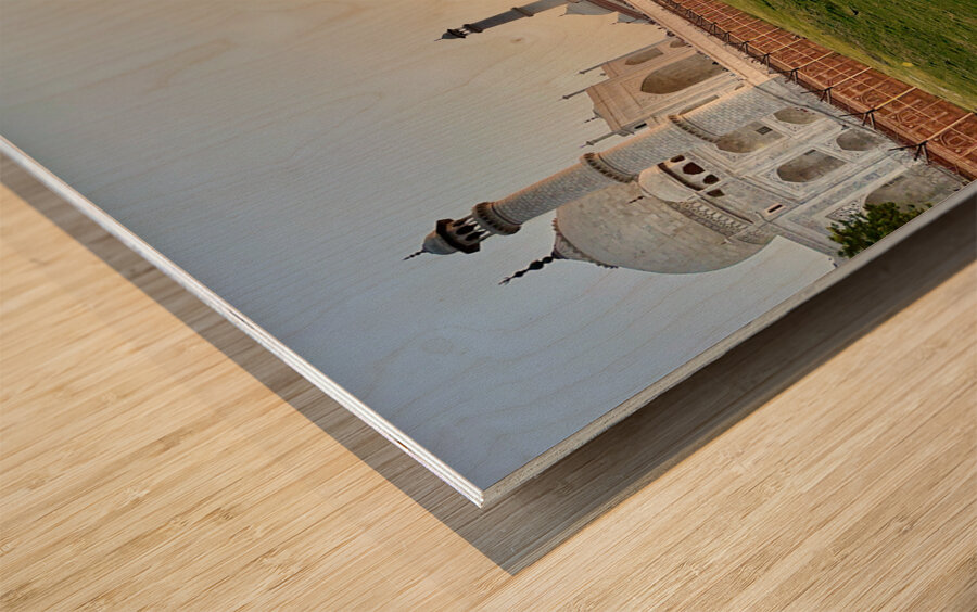 The Taj Mahal Collection 4 Wood print