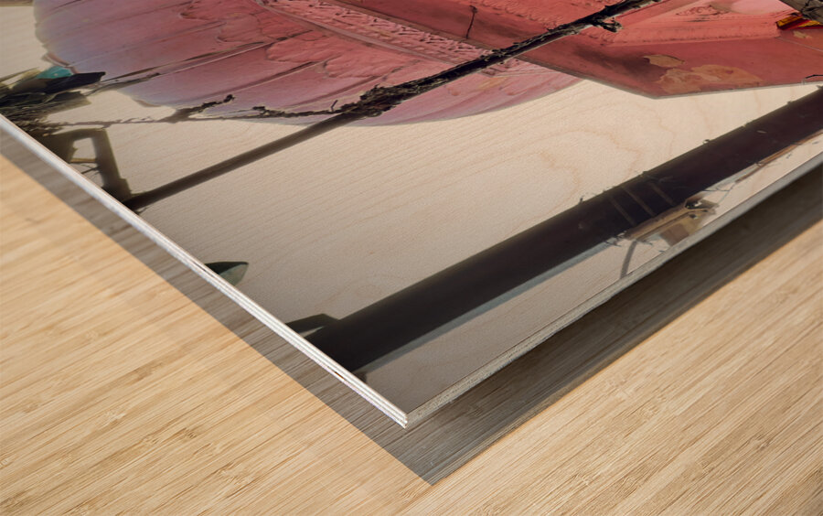 Vishram Ghat Temple 2 Wood print