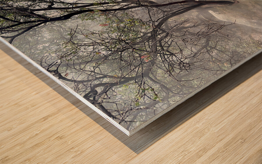 Cibuni Rengganis Crater Java Indonesia 6 Wood print