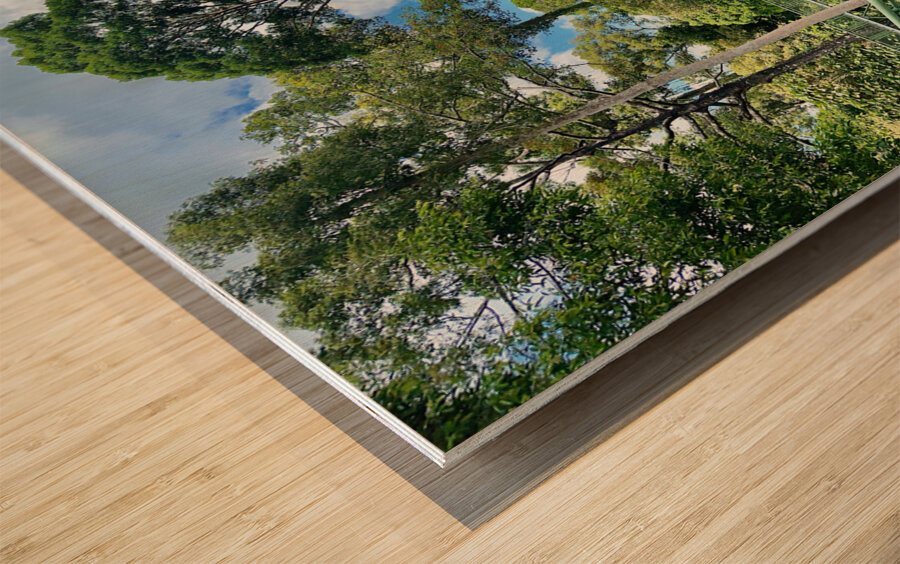 Kabili Sepilok Forest Reserve 2 Wood print