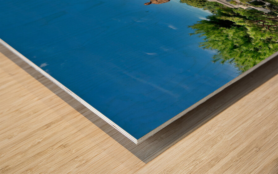 Jongmyo Shrine Seoul Korea 4 Wood print