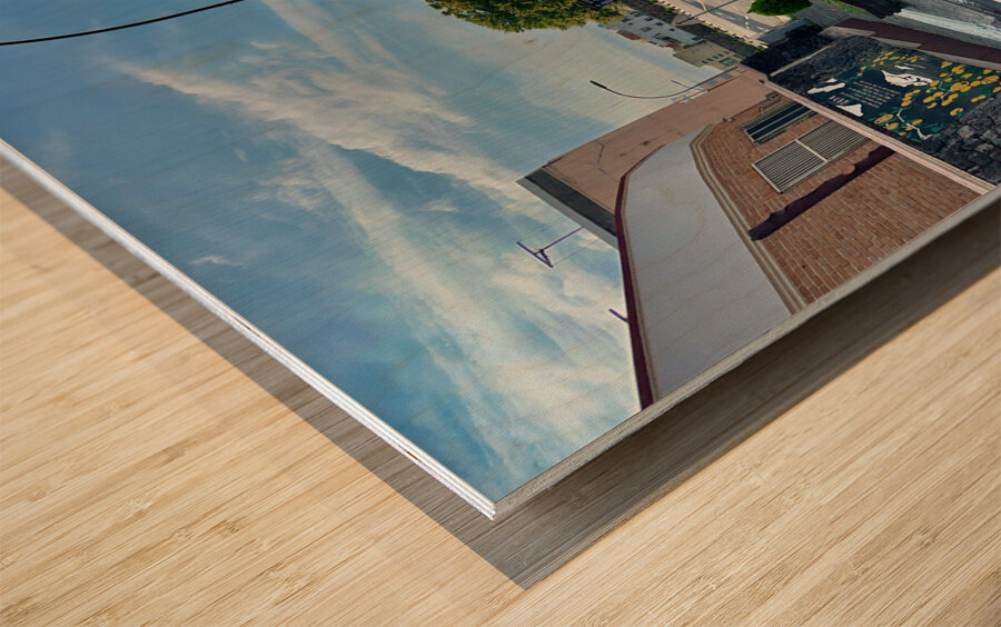 Around Jeju City South Korea 2 Wood print